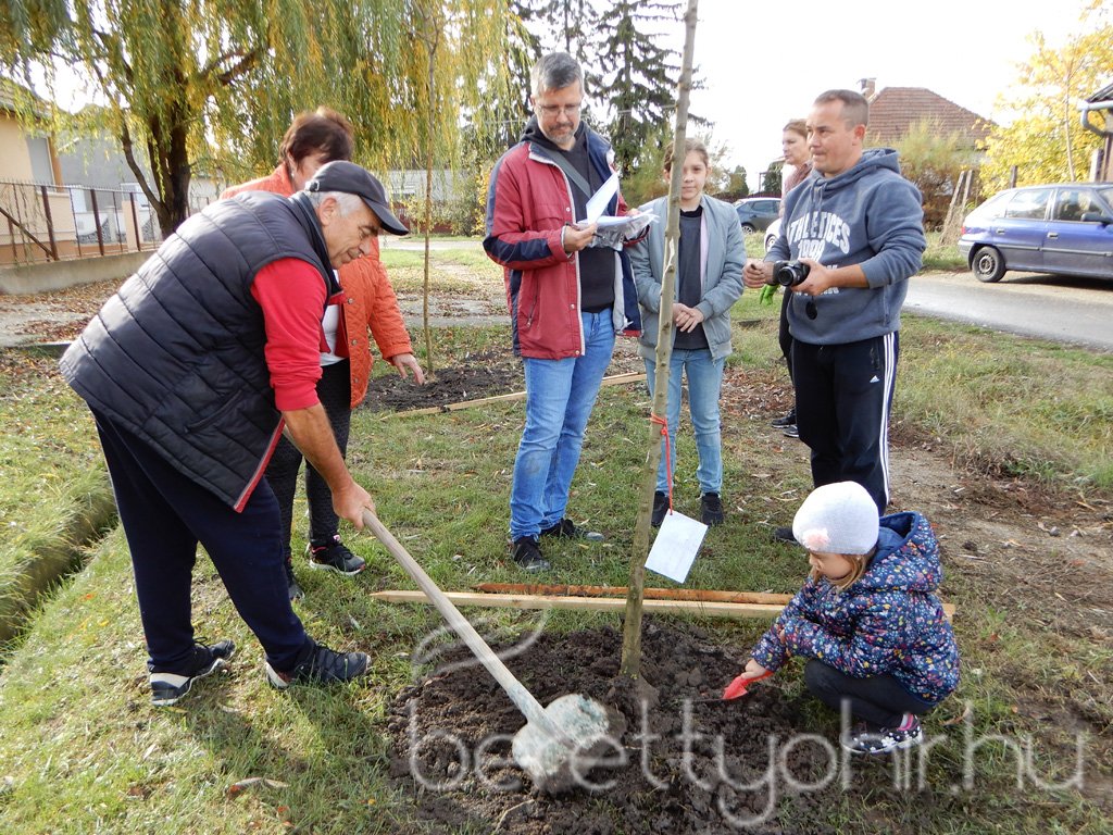 Közösségi faültetés Berettyóújfaluban 12